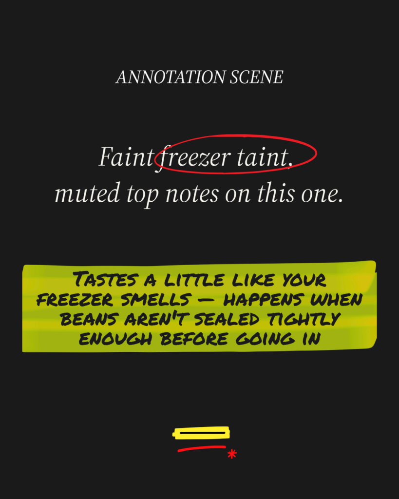 Should You Freeze Your Coffee Beans? Here's Why Nobody Actually Agrees should you freeze coffee beans (2)